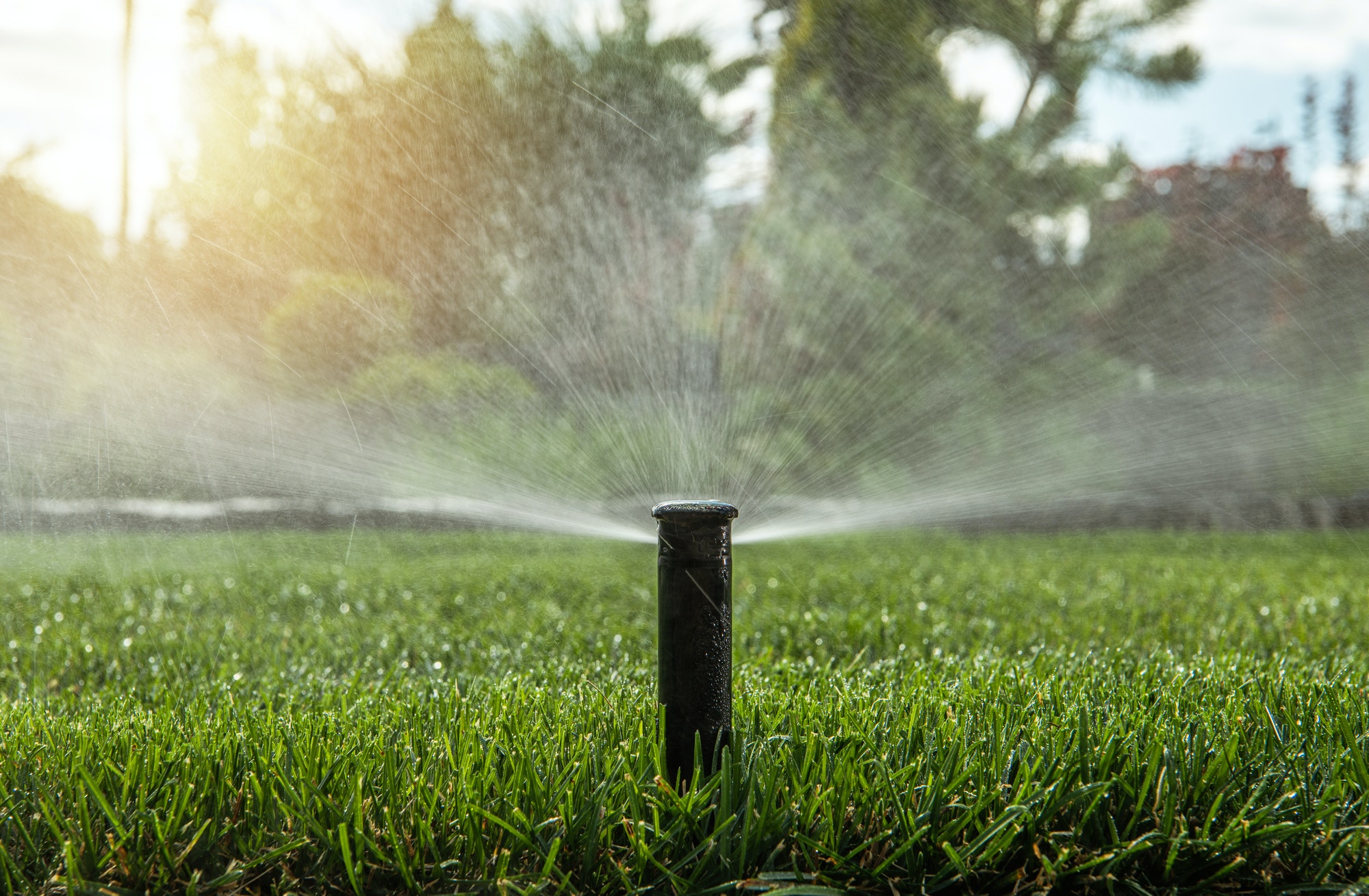 Automatic Backyard Garden Lawn Water Sprinkler